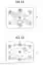 Fig. 07 - Illumination device for photographing and camera