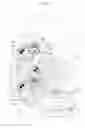 Fig. 02 - Focal plane shutter for cameras