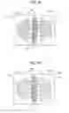 Fig. 08 - Fixing unit and image forming apparatus