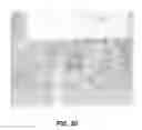 Fig. 22 - Flow cell device