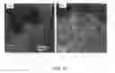 Fig. 04 - Continuous process for the preparation of sodium titanate nanotubes