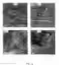 Fig. 05 - Continuous process for the preparation of sodium titanate nanotubes