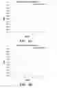 Fig. 05 - Immunotherapy targeting of the shared abnormal conformational state of amyloidogenic peptides/proteins