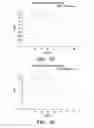 Fig. 08 - Immunotherapy targeting of the shared abnormal conformational state of amyloidogenic peptides/proteins