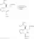 Fig. 45 - Methods and compositions for studying, imaging, and treating pain