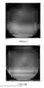 Fig. 06 - Composition comprising a cell death marker and a wavelength-optimized label