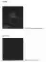 Fig. 02 - FLUORESCENT IMAGING OF TUMORS USING PHOSPHOLIPID ETHER COMPOUNDS