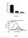 Fig. 08 - Compositions and methods for adoptive and active immunotherapy