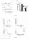 Fig. 16 - Use of a L. Casei Strain For the Preparation of a Composition for Inhibiting Mast Cell Activation