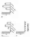 Fig. 05 - Compositions for the preparation of mature dendritic cells