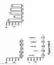 Fig. 06 - Compositions for the preparation of mature dendritic cells