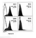 Fig. 08 - Compositions for the preparation of mature dendritic cells
