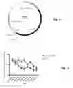 Fig. 02 - Expression of Anti-Nociceptive Compounds from Endogenously Regulated Promoters