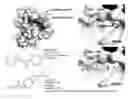 Fig. 01 - Methods and compositions for the treatment of cancers and pathogenic infections