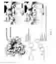 Fig. 02 - Methods and compositions for the treatment of cancers and pathogenic infections