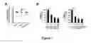 Fig. 08 - Methods of treating coagulopathy