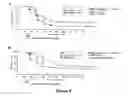Fig. 09 - Methods of treating coagulopathy