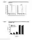 Fig. 06 - Method for separating viable cells, apoptotic and dead cells