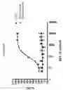 Fig. 06 - Antibodies to CLL-1