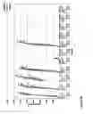 Fig. 08 - Class A Oligonucleotides with Immunostimulatory Potency