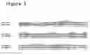 Fig. 02 - Novel Neurotrophic Factor Protein and Uses Thereof