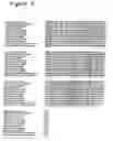 Fig. 04 - Novel Neurotrophic Factor Protein and Uses Thereof