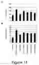 Fig. 12 - Novel Neurotrophic Factor Protein and Uses Thereof