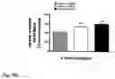 Fig. 20 - Novel Neurotrophic Factor Protein and Uses Thereof