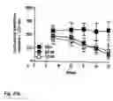 Fig. 25 - Novel Neurotrophic Factor Protein and Uses Thereof
