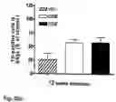 Fig. 26 - Novel Neurotrophic Factor Protein and Uses Thereof
