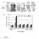 Fig. 07 - Nontoxic ricin mutant compositions and methods
