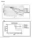 Fig. 06 - Immunosuppressive Extract Of Cordyceps Sinensis And Uses Thereof