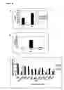 Fig. 15 - Immunosuppressive Extract Of Cordyceps Sinensis And Uses Thereof