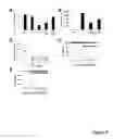 Fig. 07 - Activation of natural killer (NK) cells and methods of use