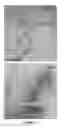 Fig. 07 - METHOD FOR THE INTERNALIZATION OF NON-INVASIVE BACTERIA IN EUKARYOTE CELLS