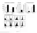 Fig. 06 - Methods for producing dendritic cells with an siRNA that interferes with MAPKAPK2 expression