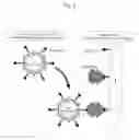 Fig. 07 - Drug delivery system