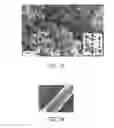 Fig. 07 - Compositions and medical devices for controlled release of nitric oxide and methods of production thereof