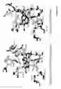 Fig. 02 - Compositions and methods for the delivery of oxygen