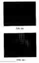 Fig. 08 - SELF-ASSEMBLING MICELLE-LIKE NANOPARTICLES FOR SYSTEMIC GENE DELIVERY