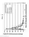Fig. 02 - Capsule Formulation