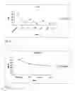 Fig. 02 - PHARMACEUTICAL COMPOSITION FOR USE IN THE TREATMENT AND/OR THE PREVENTION OF OSTEOARTICULAR DISEASES