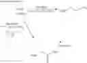 Fig. 92 - NOVEL TETRAHYDROPYRIDOTHIOPHENES