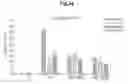 Fig. 35 - Use of lignan compounds for treating or preventing inflammatory disease