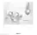 Fig. 08 - Herbal composition for maintaining/caring the skin around the eye, methods of preparing the same and uses thereof
