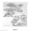 Fig. 10 - Herbal composition for maintaining/caring the skin around the eye, methods of preparing the same and uses thereof
