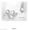 Fig. 08 - HERBAL COMPOSITION FOR MAINTAINING/CARING THE SKIN AROUND THE EYE, METHODS OF PREPARING THE SAME AND USES THEREOF