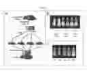 Fig. 02 - PROCESS FOR REMOVING ETHENE FROM BIOLOGICAL USING METAL EXCHANGED TITANIUM ZEOLITES