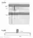 Fig. 09 - Method for discharging chemical solution