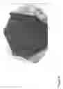 Fig. 07 - Method for making reinforced polymer matrix composites